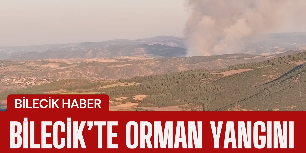 Bilecik’te Orman Yangını!