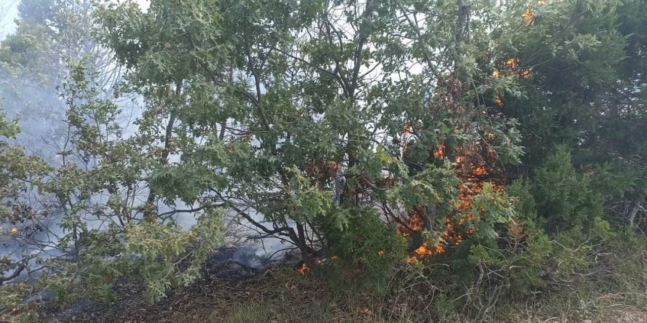 Yangın Büyümeden Söndürüldü