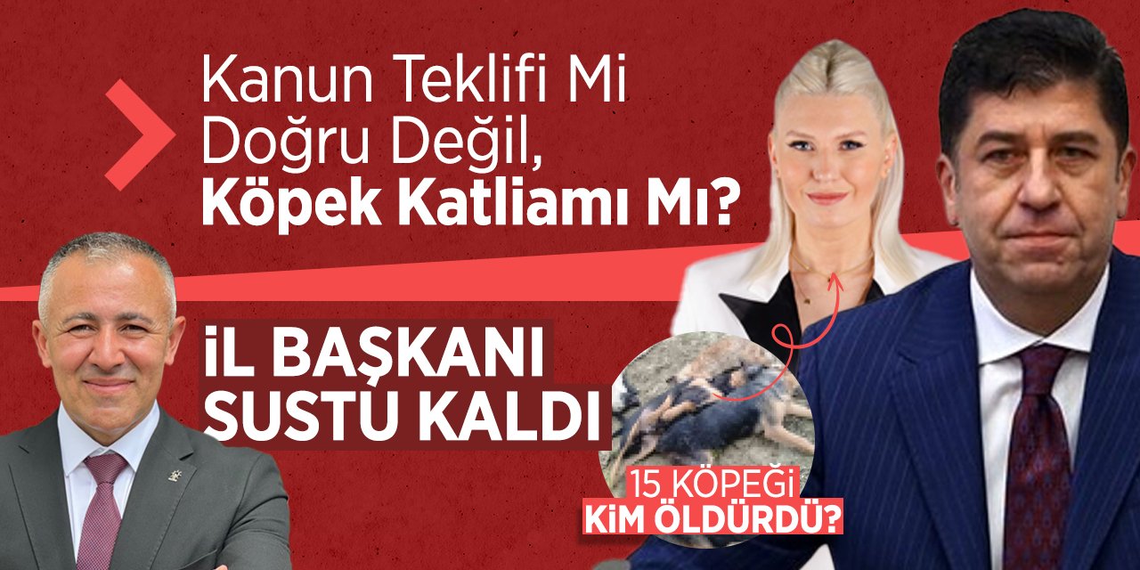 15 Köpeği Kim Öldürdü? KANUN TEKLİFİ Mİ DOĞRU DEĞİL, KÖPEK KATLİAMI MI?