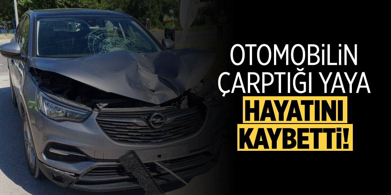 Otomobilin çarptığı yaya hayatını kaybetti!