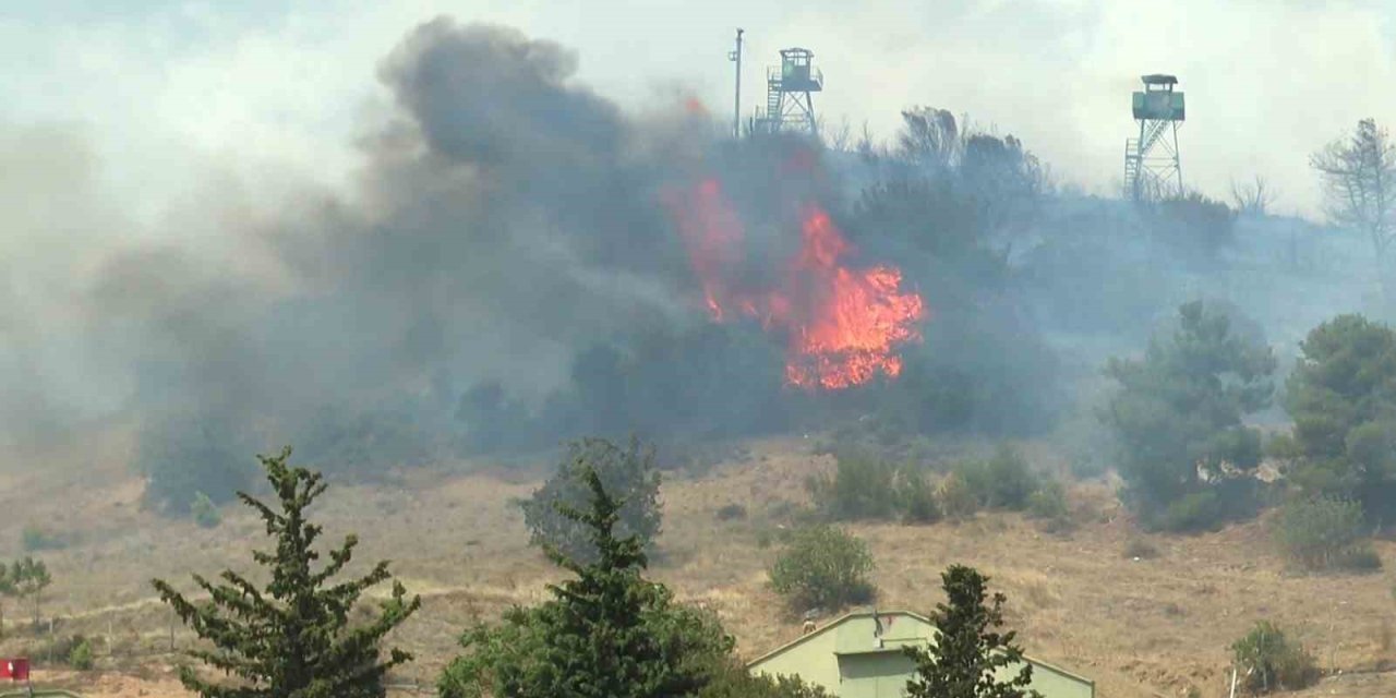 Ormanlık Alanda Korkutan Yangın