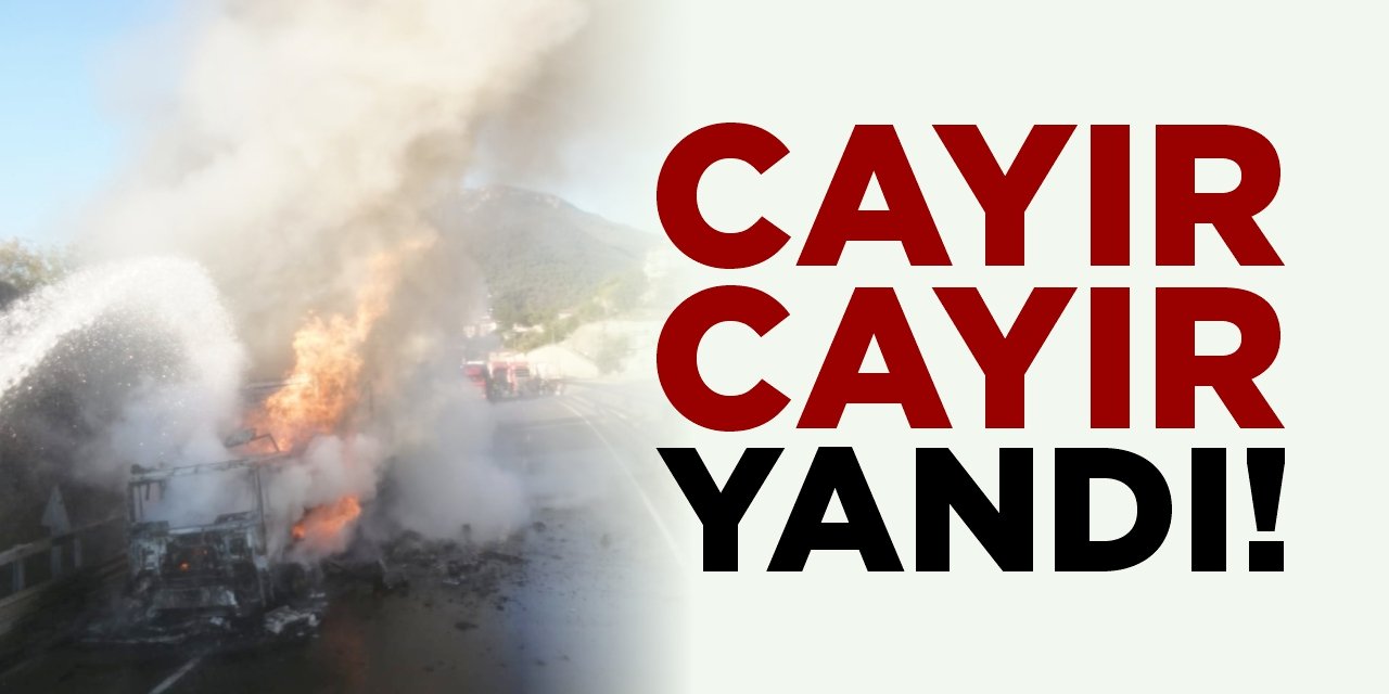 Cayır cayır yandı!