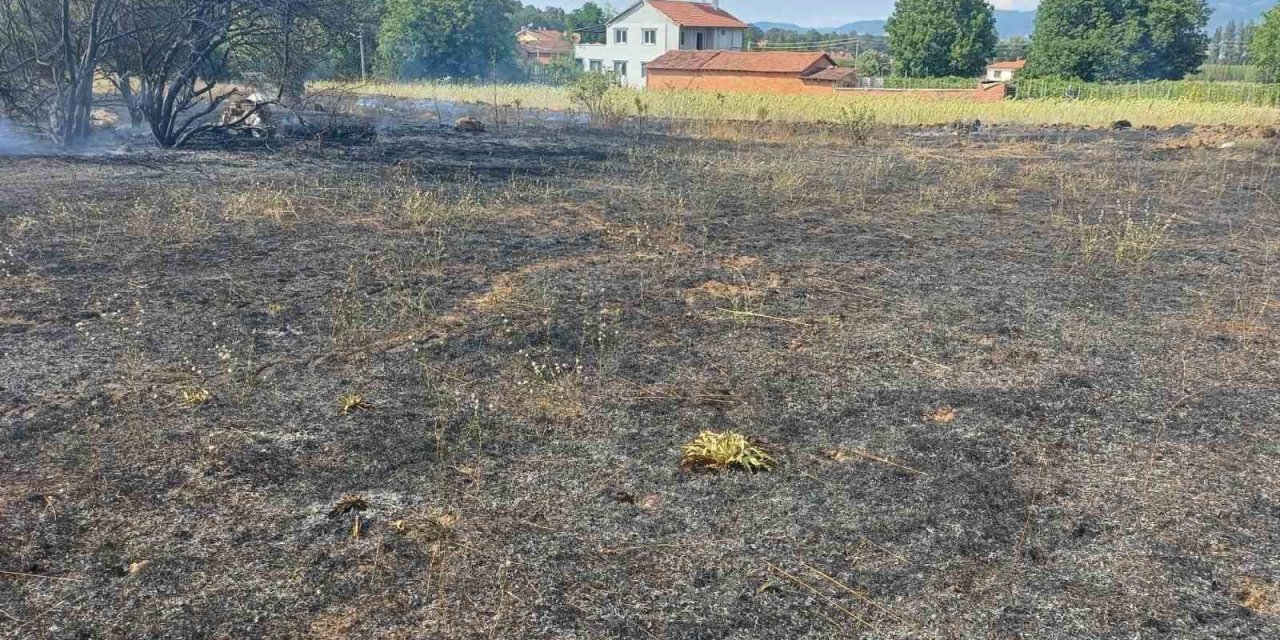 Pazaryeri’nde arazi yangını