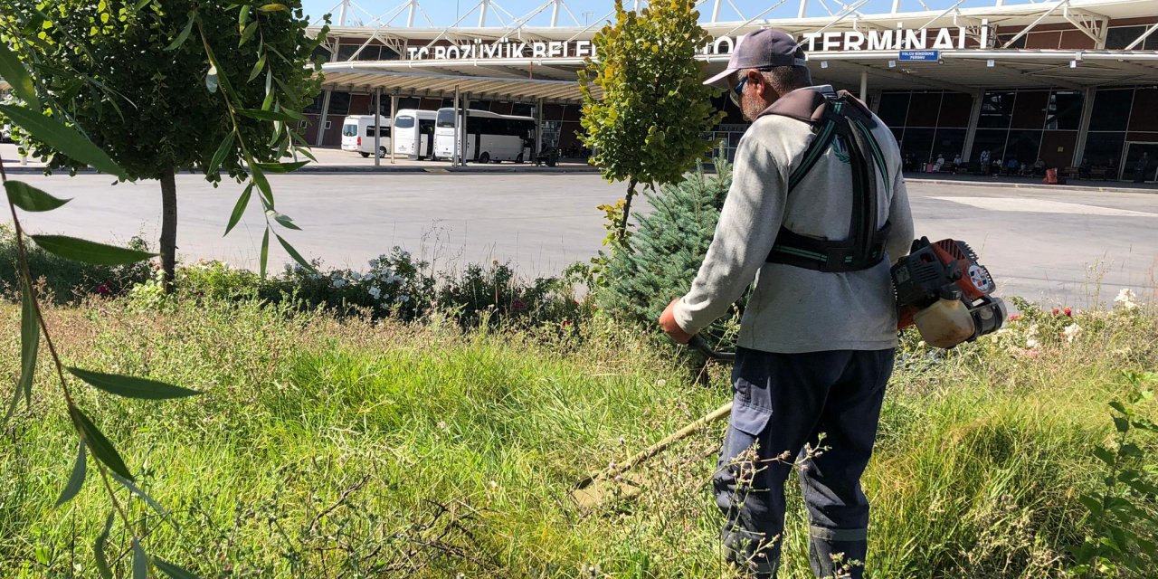 Yeşil Alanlarda Bakım Çalışması