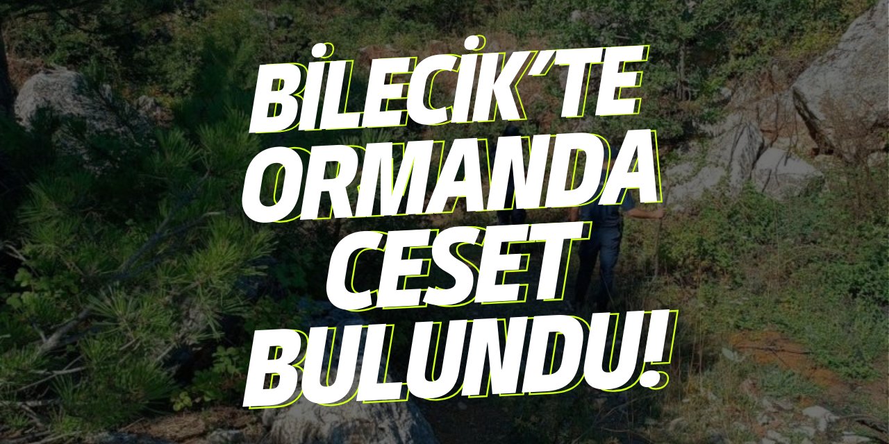 Bilecik’te Ormanda Ceset Bulundu!