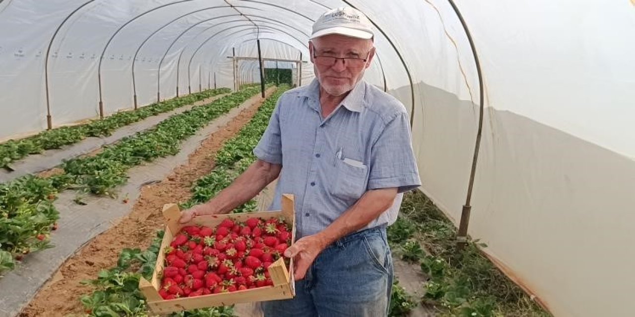 Hobi Olarak Başladığı Çilek Yetiştiriciliğinde Yılda 6 Ton Çilek Üretiyor