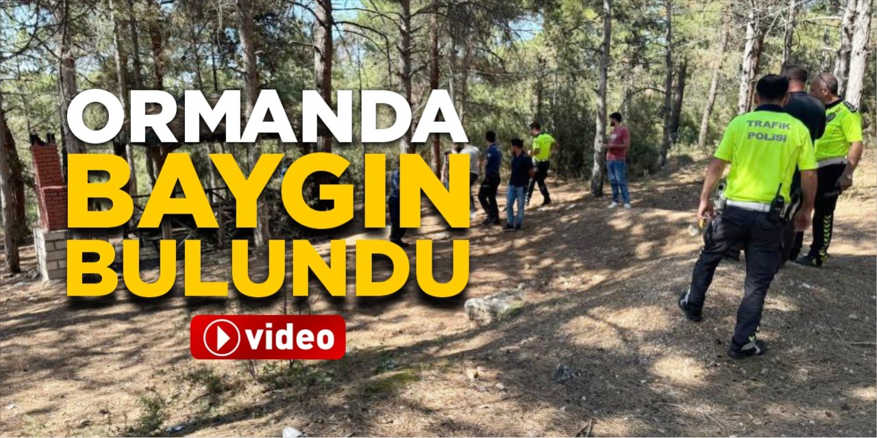 Ormanda baygın bulundu!