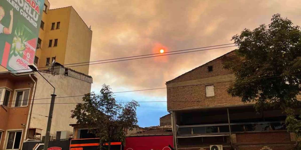 Orman Yangınının Dumanı Kent Merkezi Semalarını Kapladı, Vatandaşlar Panik Yaşadı