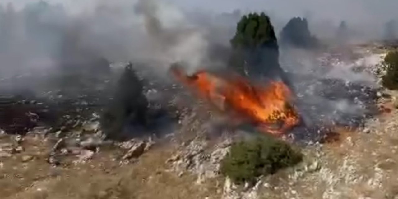 Orman Yangını: 10 Dekar Alan Zarar Gördü