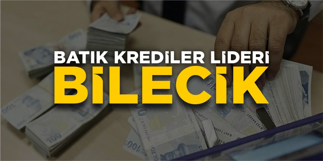 Batık krediler lideri Bilecik oldu!