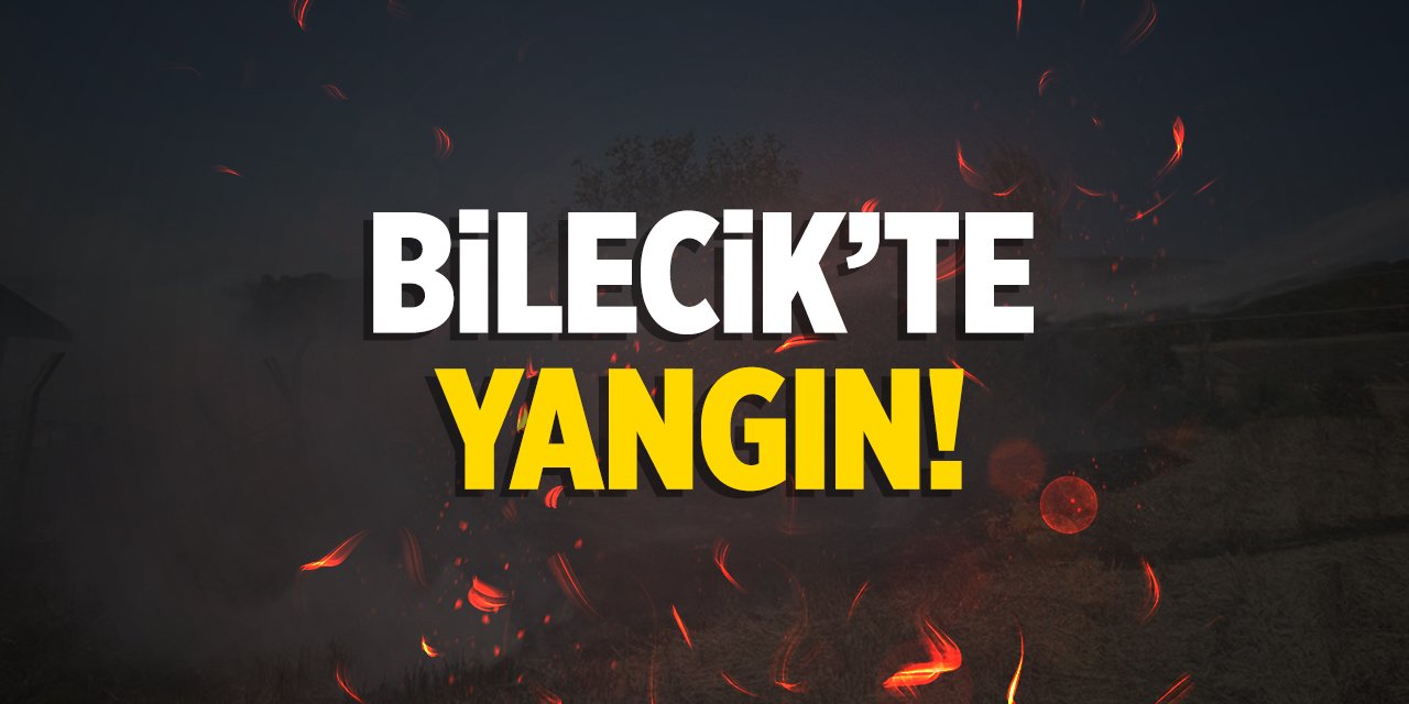 Bilecik'te Yangın!