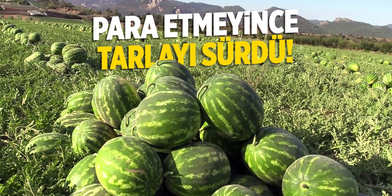 Para etmeyince tarlayı sürdü!