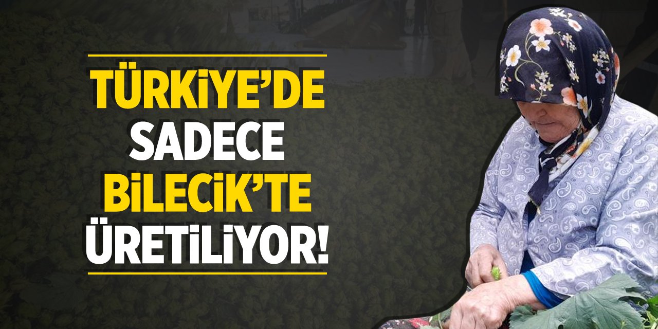 Türkiye'de sadece Bilecik'te üretiliyor!