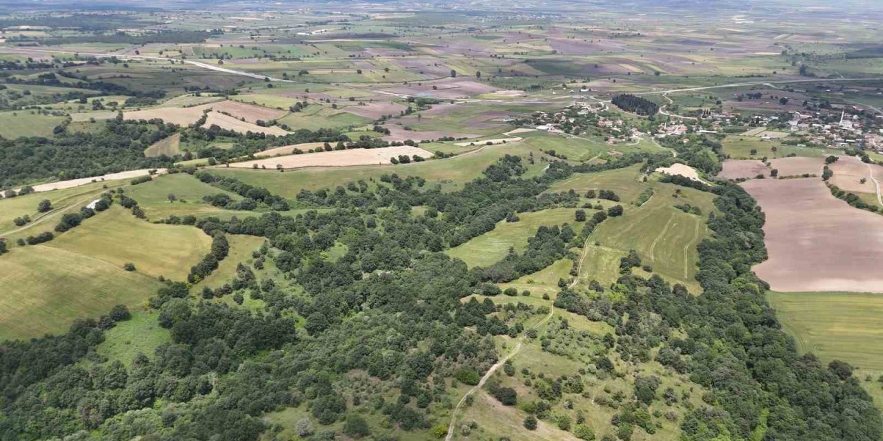 2025’in En Trend Yatırım Aracı Arazi Olacak