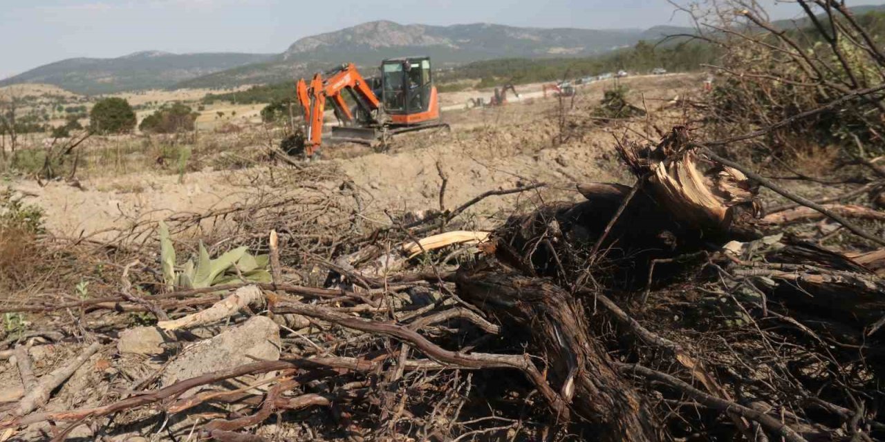 Kül Olan 312 Hektar Ormanlık Alan 333 Bin Fidanla Yeşertilecek