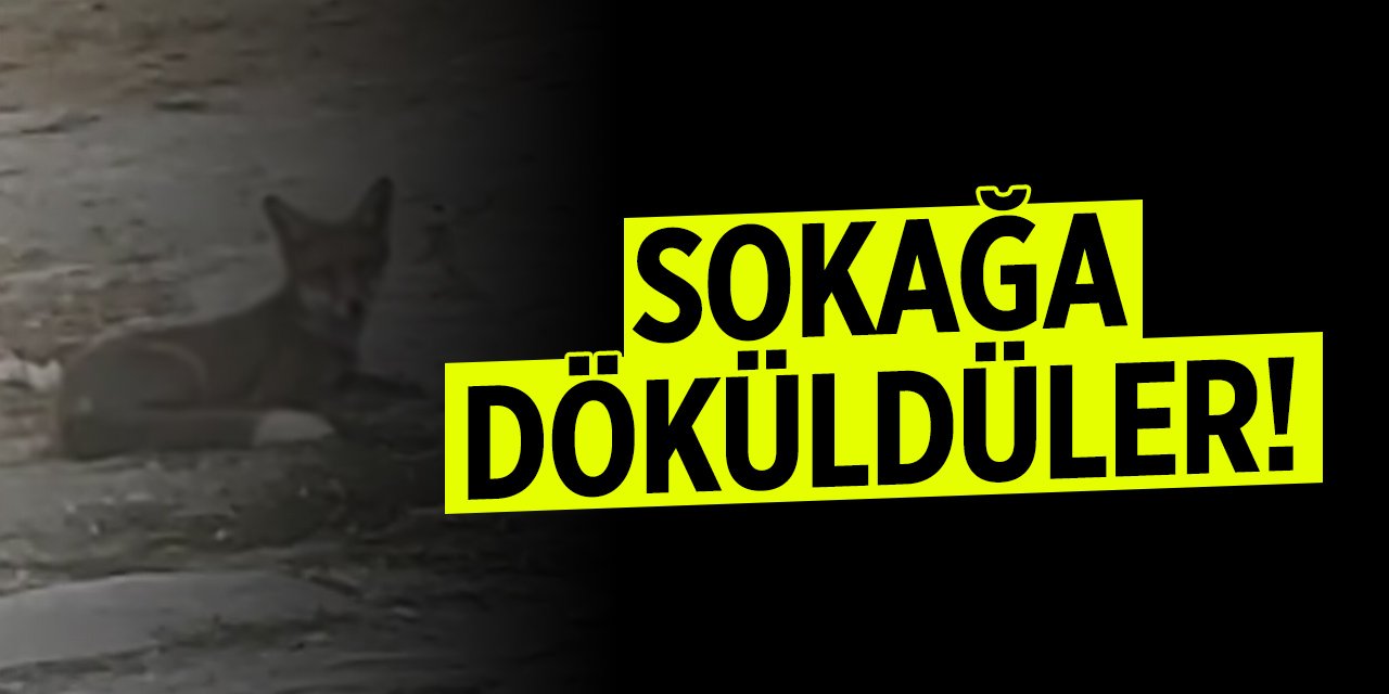 Sokağa döküldüler!