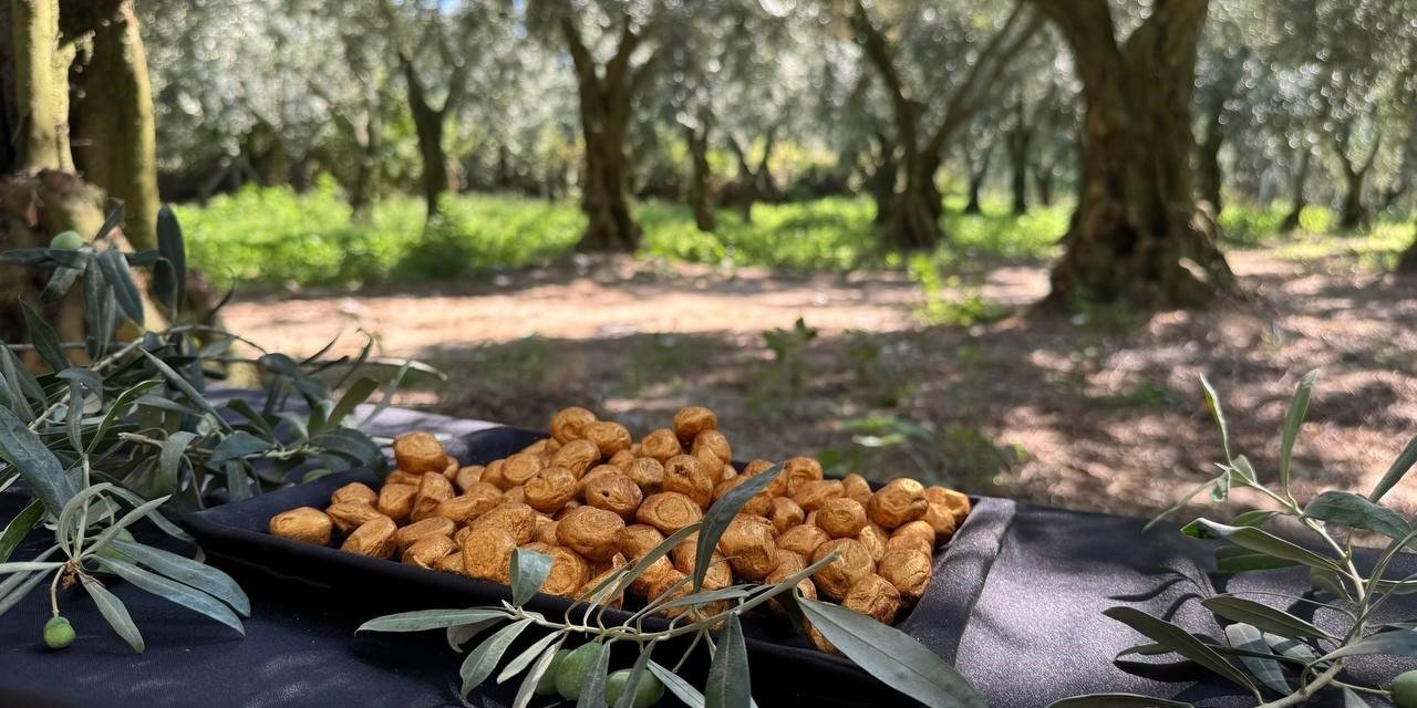 Altın Kaplamalı Zeytin Yok Satıyor