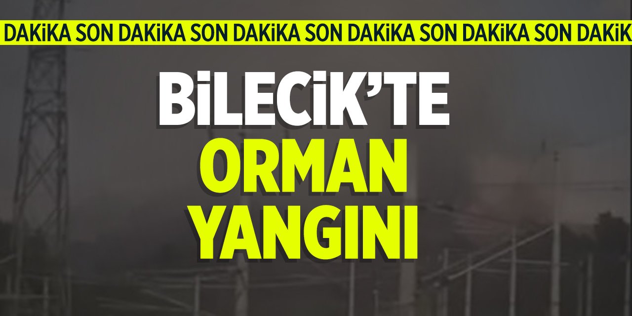 Bilecik'te orman yangını!