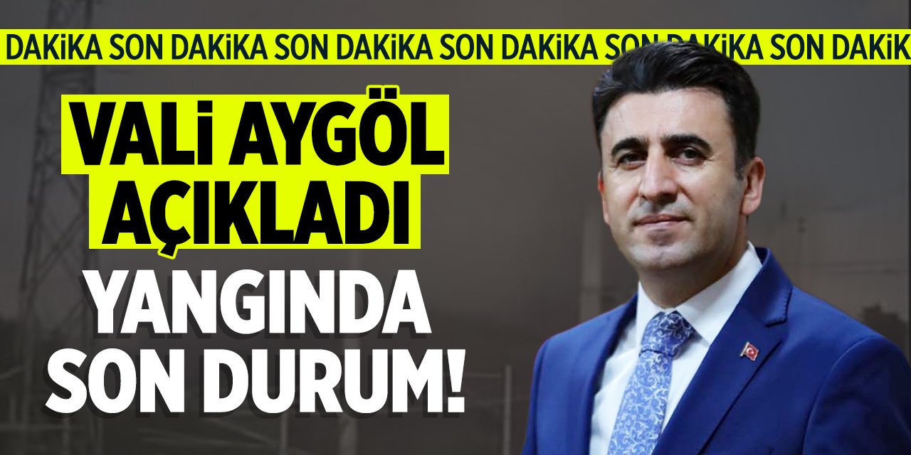 Orman Yangınında Son Durum: Bilecik Valisi Şefik Aygöl Açıkladı!