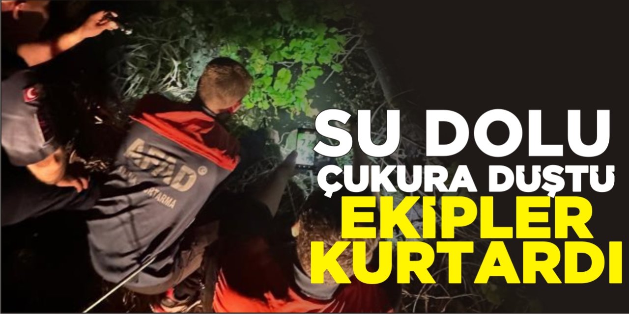 Su Dolu Çukura Düştü Ekipler Kurtardı