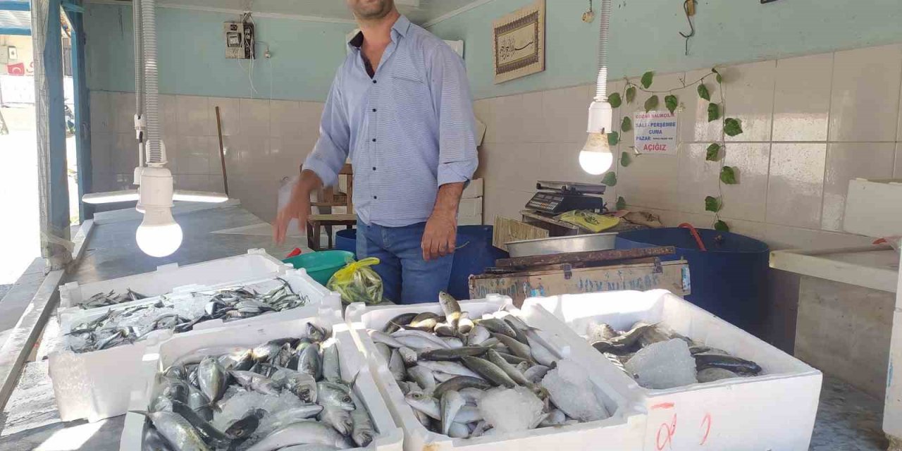 Yasak Kalktı, Tezgahlar Balık Doldu