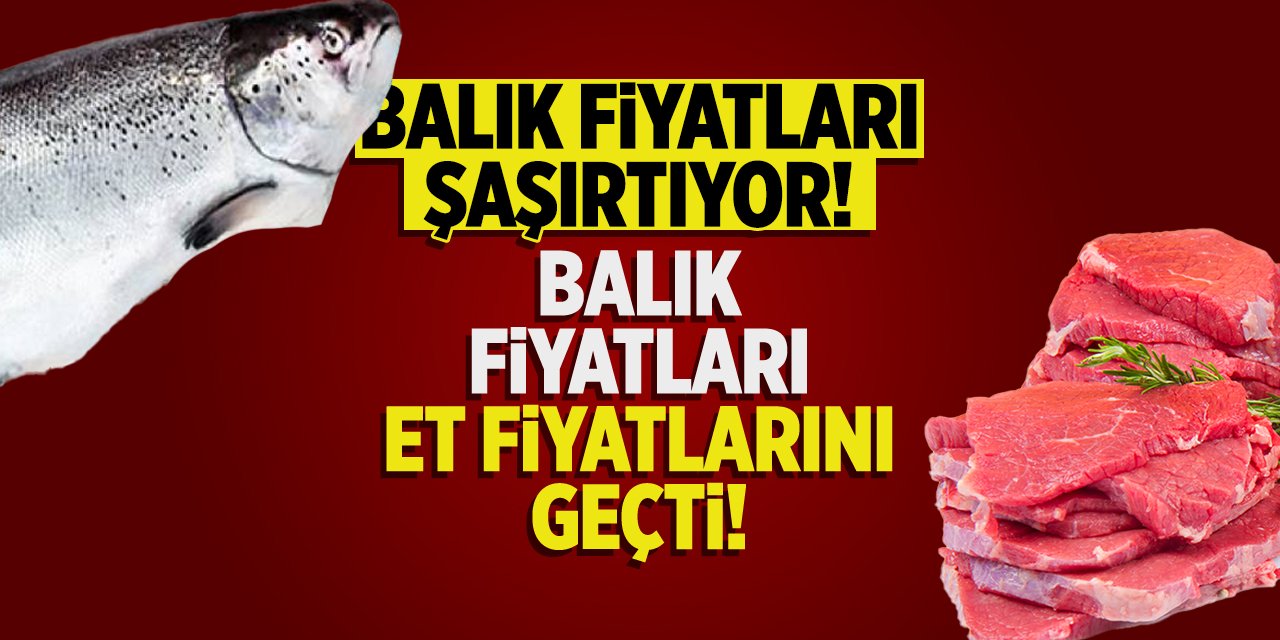 Balık Fiyatları Şaşırtıyor: Balık Fiyatları Et Fiyatlarını Geçti!