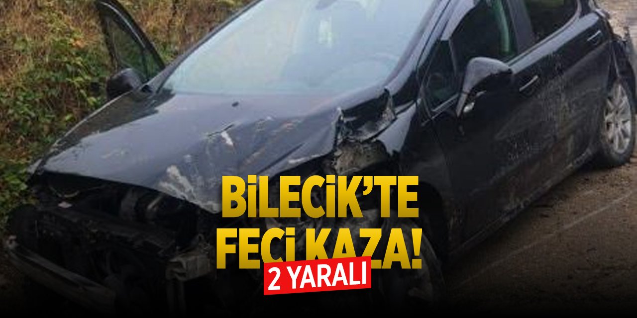 Bilecik'te feci kaza: 2 yaralı