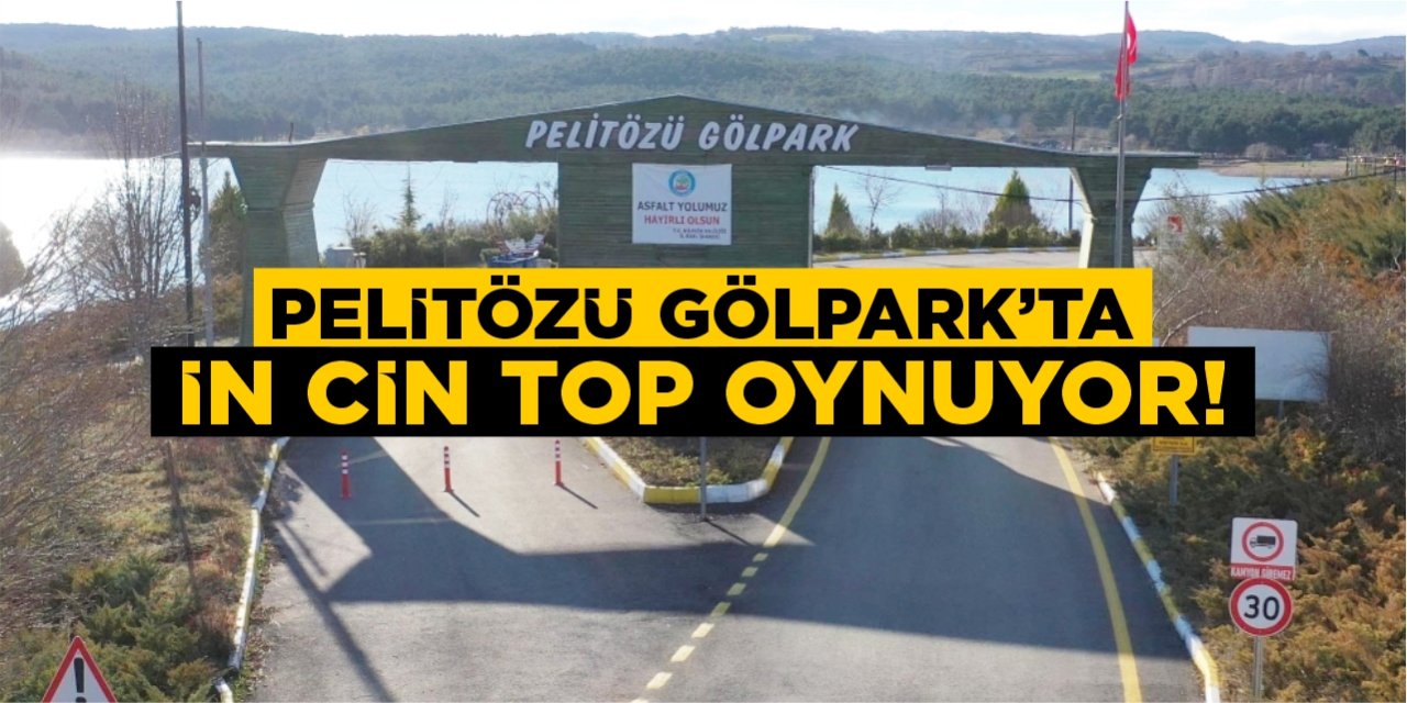 Pelitözü Gölpark’ta in cin top oynuyor!