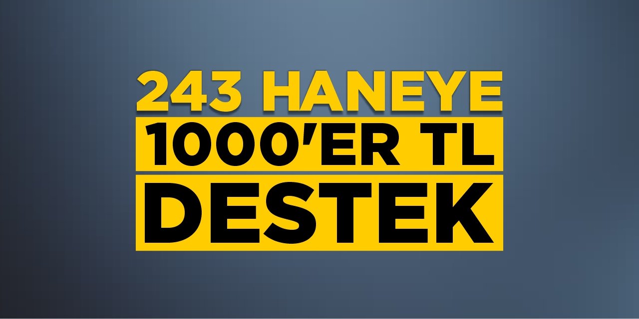 243 haneye 1000’er TL destek