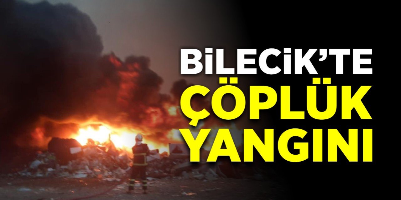 Bilecik'te çöplük yangını