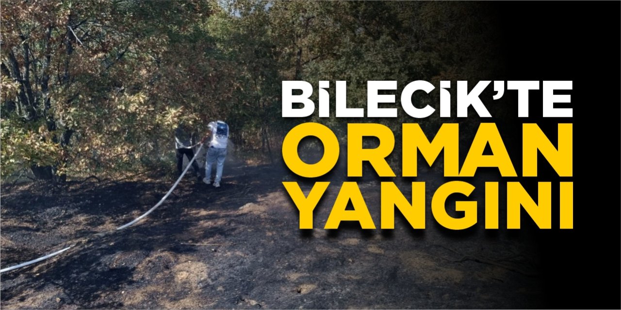 Bilecik'te orman yangını!