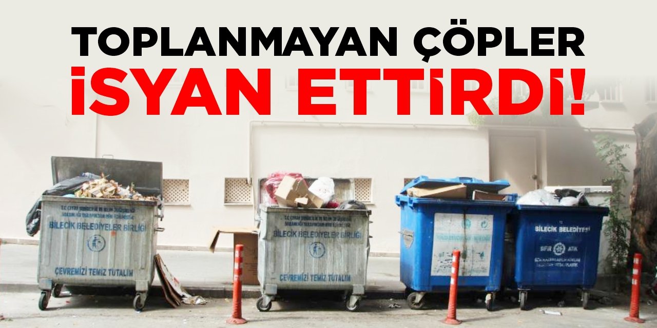 Toplanmayan çöpler isyan ettirdi