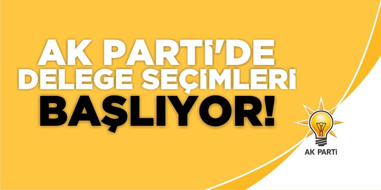 Ak Parti’de delege seçimleri başlıyor!