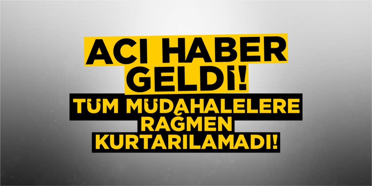 Acı haber geldi! Tüm müdahalelere rağmen kurtarılamadı!