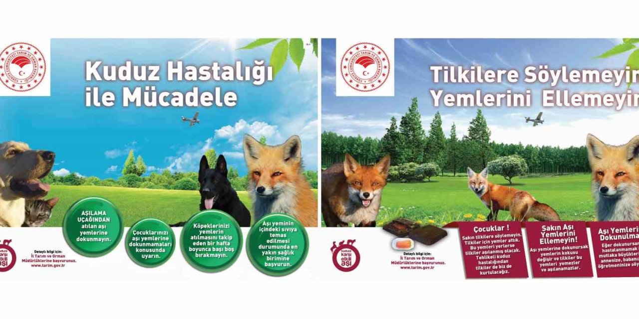 Kuduza Karşı Yaban Hayvanlarını Havadan Aşılama Çalışmaları Devam Ediyor