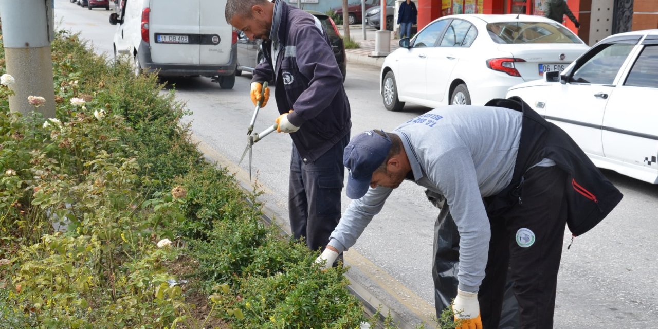 Bozüyük'te Çevre Düzenleme Çalışmaları