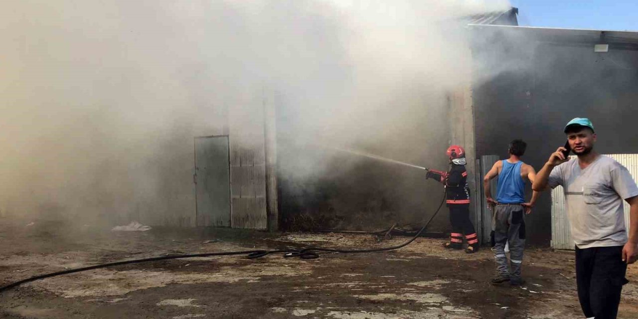 2 Ahır Ve 2 Samanlık Alevlere Teslim Oldu: 1 Yaralı