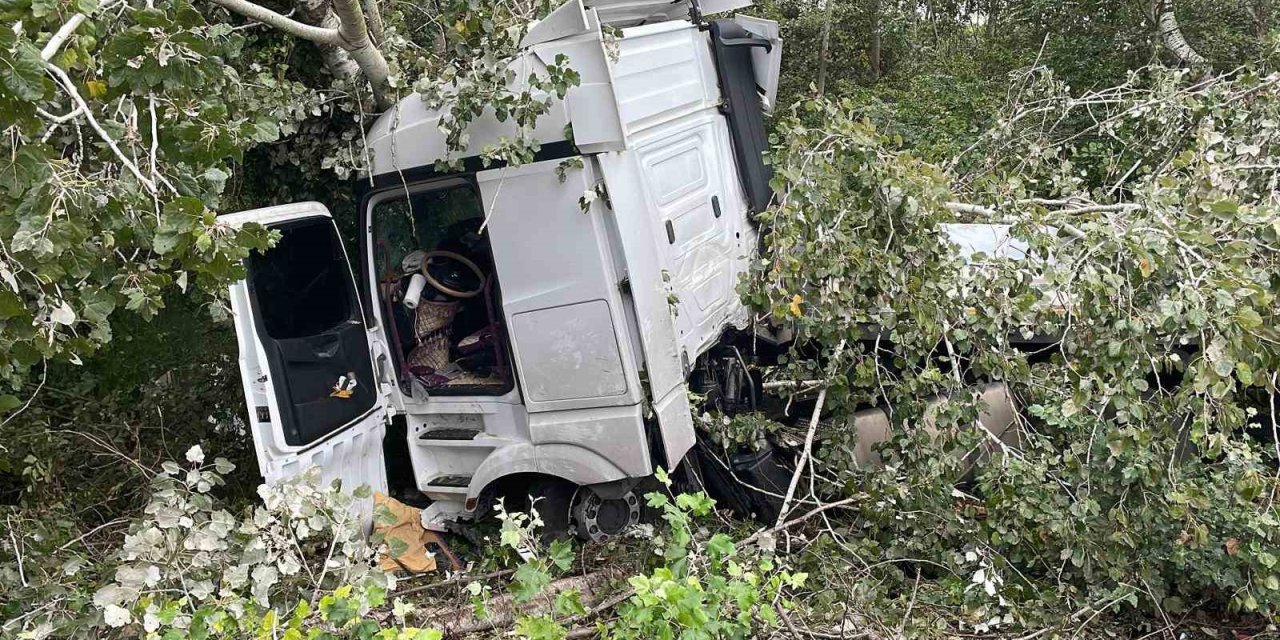 Kontrolden Çıkan Tır, Ağaca Çarparak Durabildi: 1 Yaralı