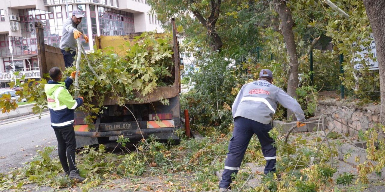 Bozüyük'te Ağaç Budama Çalışmaları