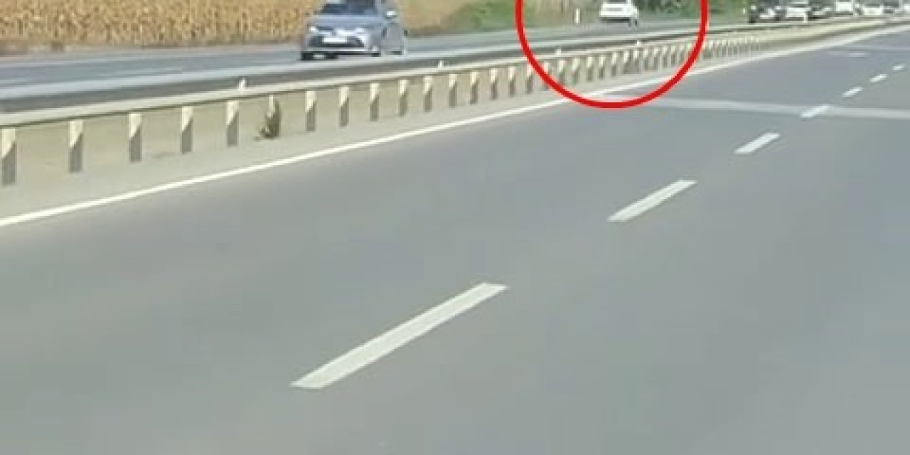 D-650’de Ters Yönde İlerledi, Trafiği Tehlikeye Attı