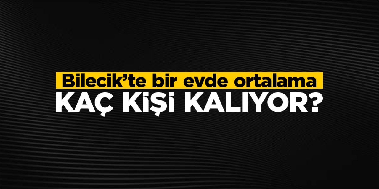 Bilecik'te Bir Evde Ortalama Kaç Kişi Kalıyor?