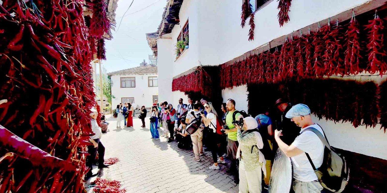 Fotoğraf Tutkunları ’çukurören Biberi’ni Görüntülemek İçin Bilecik’e Geldi