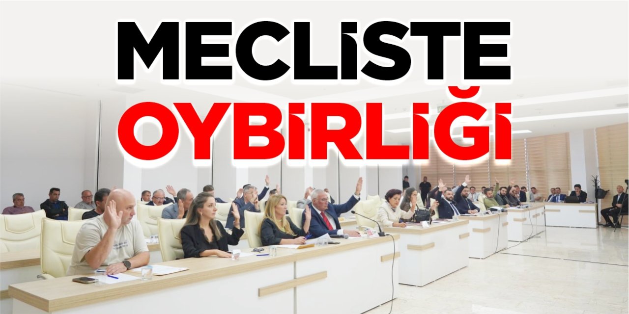 Mecliste oybirliği