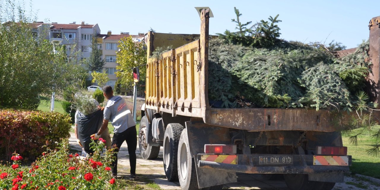 Yeşil Alanlarda Çalışmalar Sürüyor