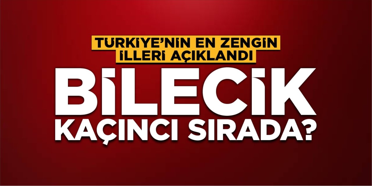 Türkiye'nin en zengin illeri açıklandı! Bilecik kaçıncı sırada?