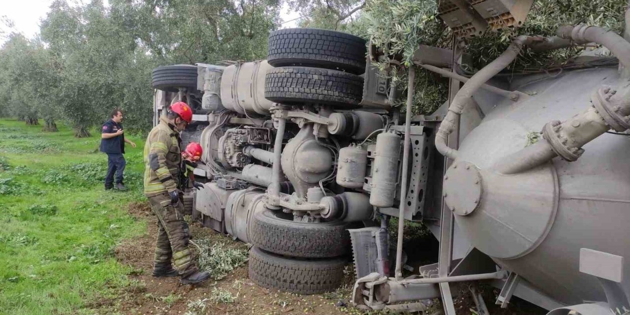 Çimento Yüklü Tanker Zeytinliğe Devrildi