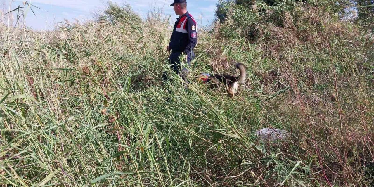 Günlerdir Aranıyordu, Cansız Bedeni Yol Kenarında Bulundu