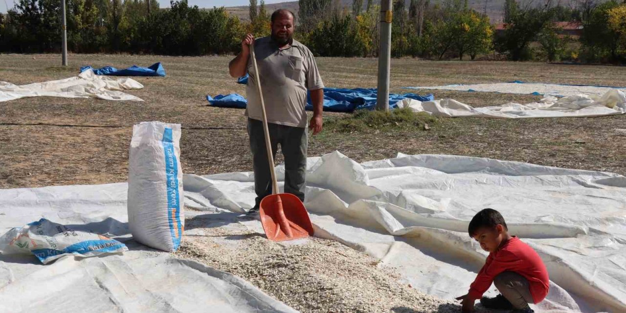 Tüccarın Fırsatçılığı Çiftçiyi Mağdur Ediyor