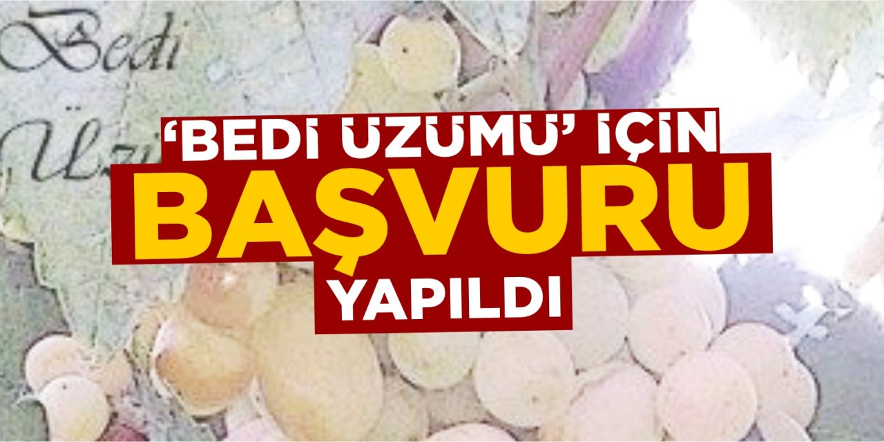 Bedi Üzümü için başvuru yapıldı