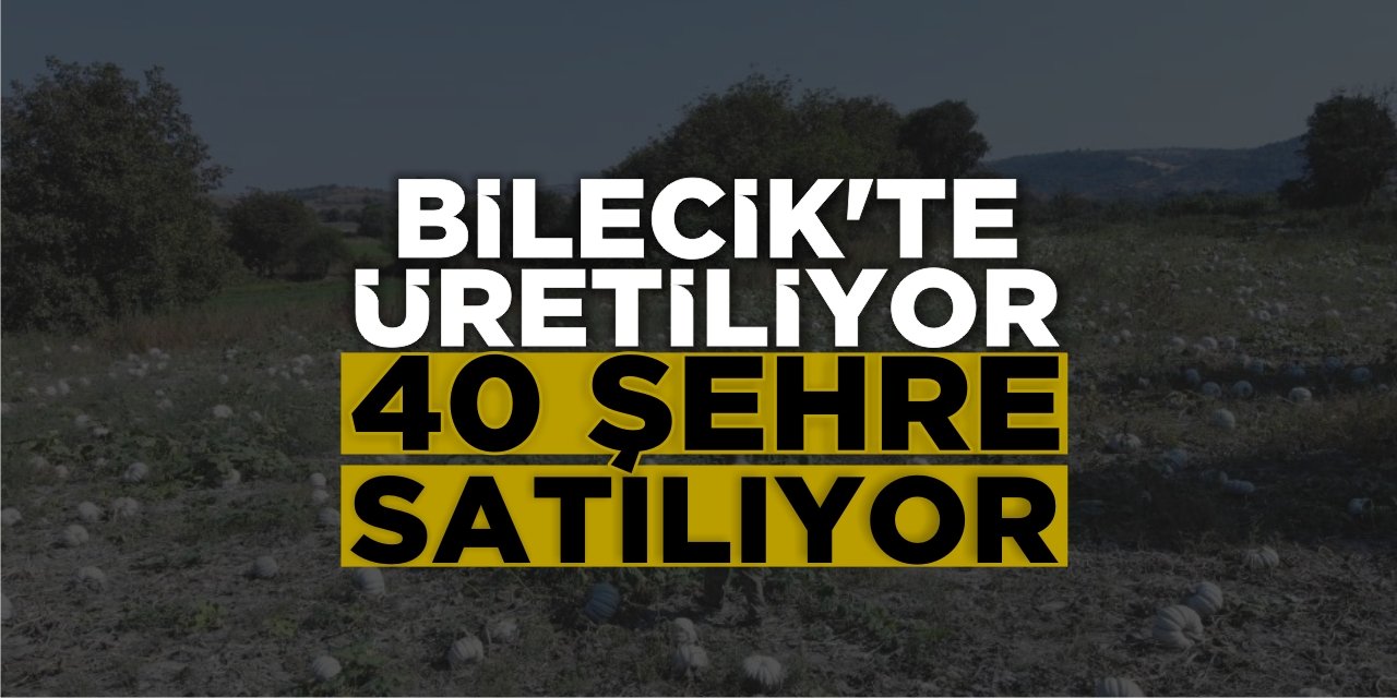 Bilecik'te üretiliyor, 40 şehre satılıyor